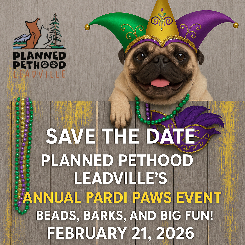 Pardi Paws Save The Date
