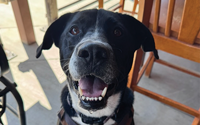 Guinness - PPL Sponsored Bone Marrow Biopsy